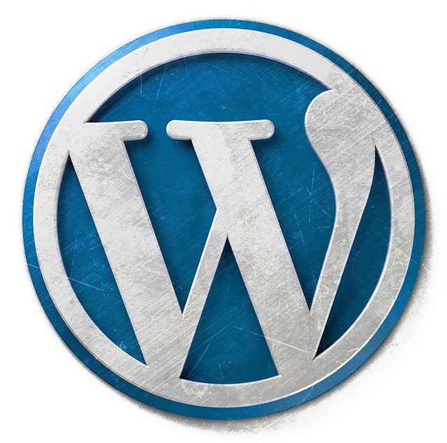 WordPress first experience